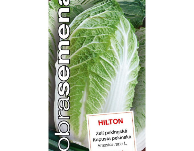 Dobrá semena Pekingské zelí Hilton