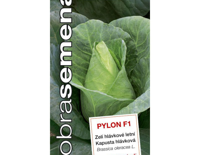 Dobrá semena Zelí ´Pylon F1´