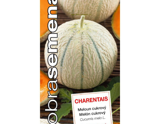 Dobrá semena Cukrový meloun Charentais