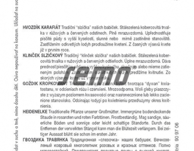 Semo Hvozdík kropenatý ´Maiden Pink´