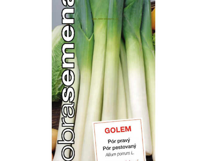 Dobrá semena Pór pěstovaný  Golem