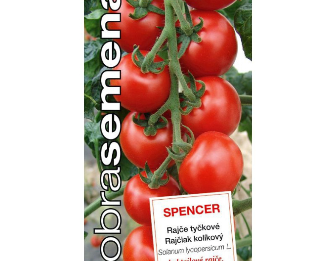 Dobrá semena Rajče tyčkové Spencer