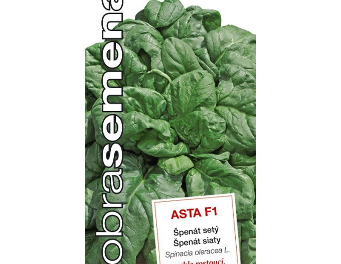 Dobrá semena Špenát ´Asta F1´
