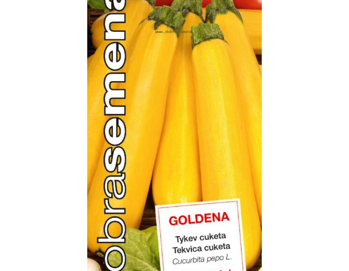 Dobrá semena Tykev - cuketa ´Goldena´