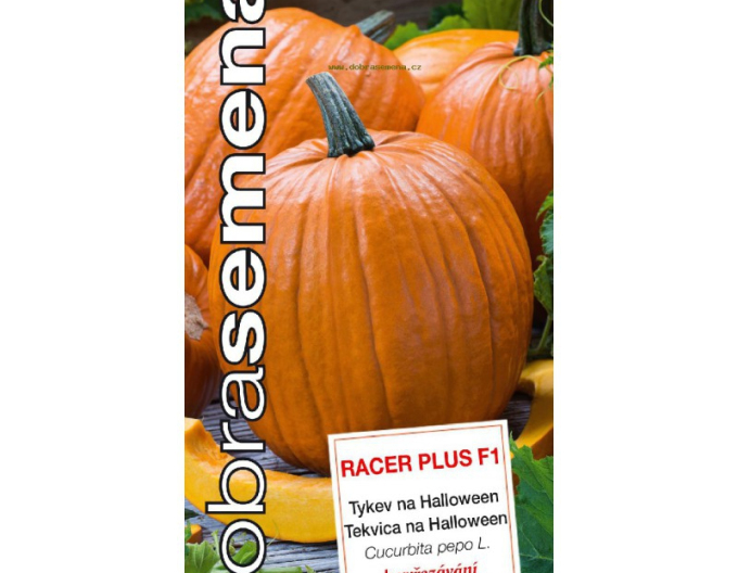 Dobrá semena Tykev Racer Plus F1´