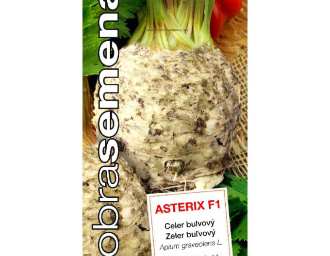 Dobrá semena Celer bulvový ´ Asterix F1´