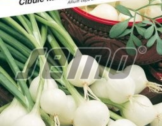 Semo Cibule kuchyňská Pompei