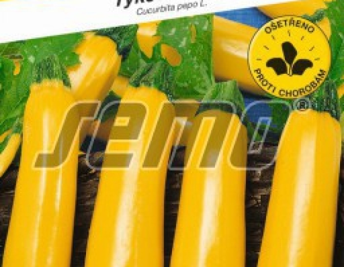 Semo Tykev cuketa Orelia F1