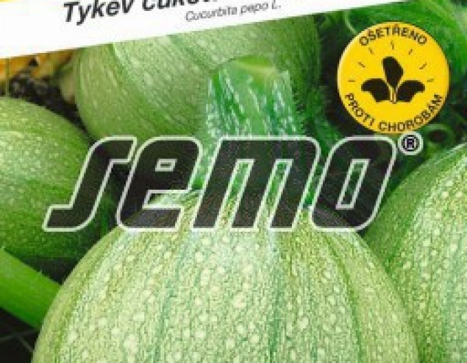 Semo Tykev cuketa Tondo Chiaro di Niza (k loupání)