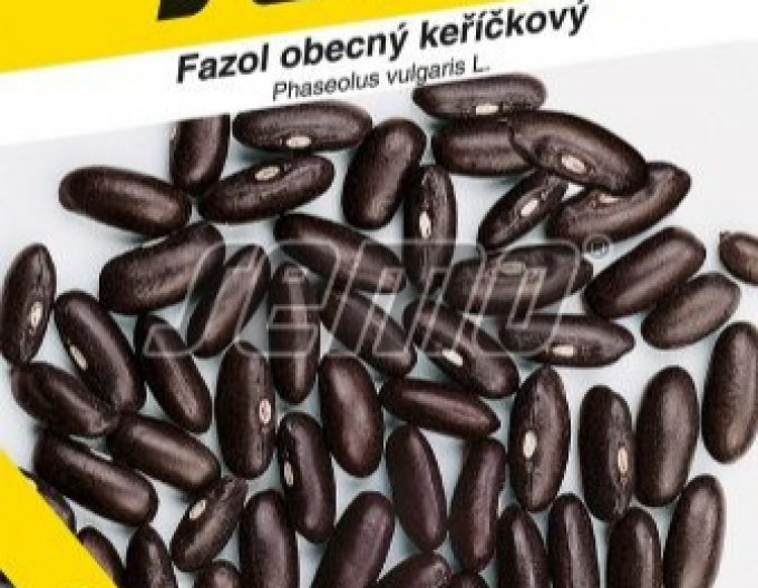 Semo Fazol obecný keříčkový  Carmen