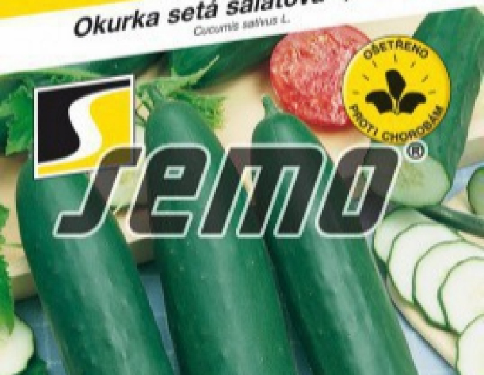 Semo Okurka salátová Linda F1 Mix