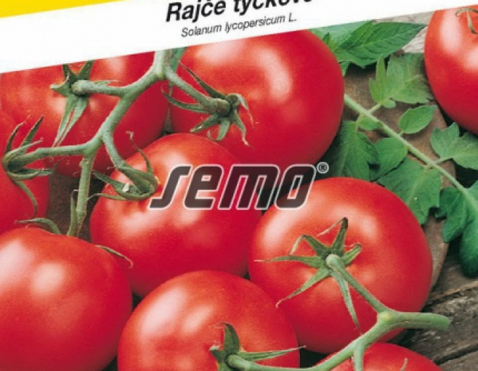 Semo rajče tyčkové Start S F1