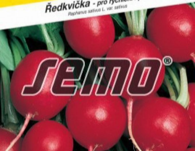 Semo Ředkev séta Prima