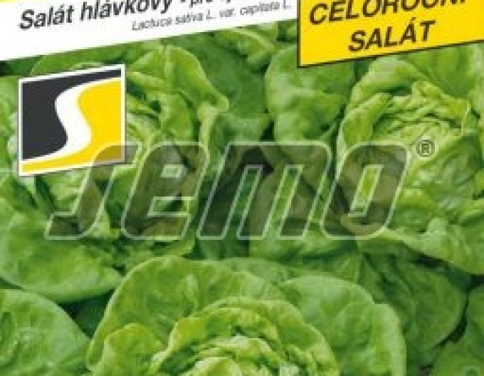 Semo Salát hlávkový Bremex