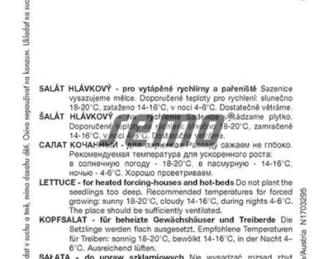 Semo Salát hlávkový Bremex