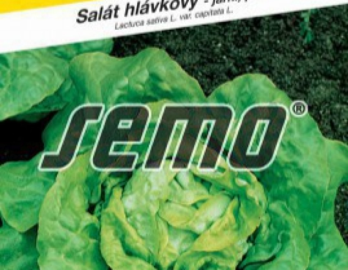 Semo Jarní salát ´Král Máje I.´