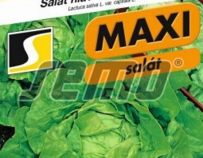 Semo Letní salát ´Jupiter´