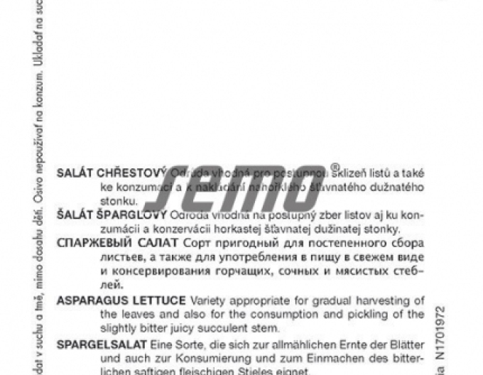 Semo Salát chřestový ´Celtuce´