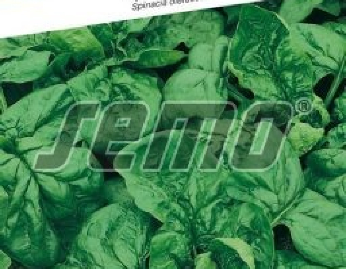 Semo Špenát setý Matador