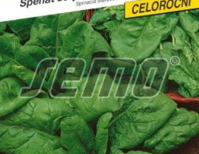 Semo Špenát setý ´Sacramento F1´