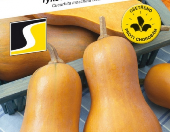 Semo Máslová dýně Laura