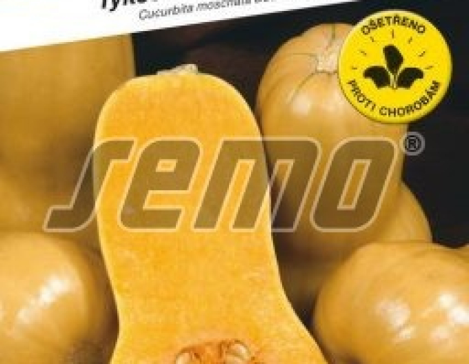 Semo Tykev muškátová ´Stella F1´