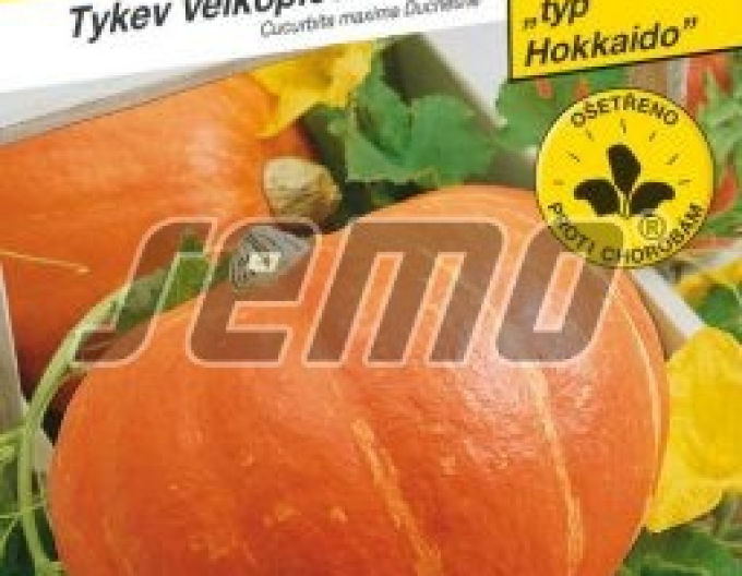 Semo Tykev velkoplodá  ´Amoro F1´