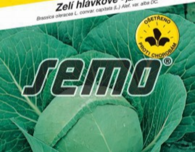 Semo Zelí hlávkové´Sláva F1´