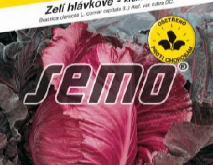 Semo Zelí hlávkové ´Kalibos´