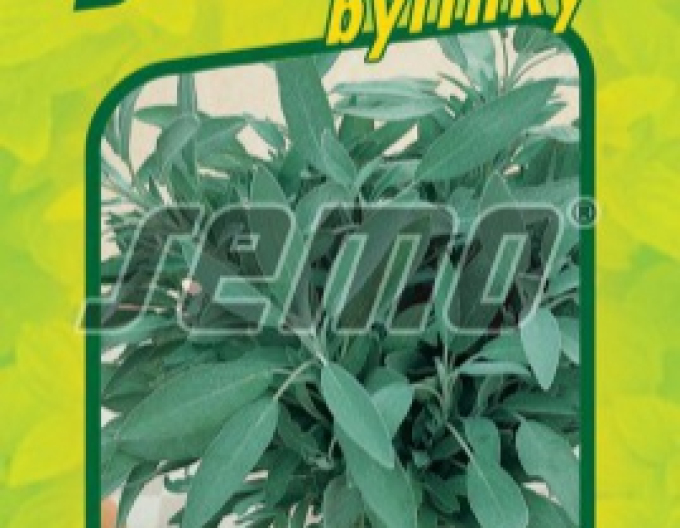 Semo Šalvěj lékařská