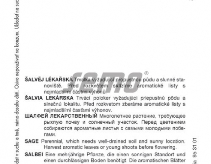 Semo Šalvěj lékařská