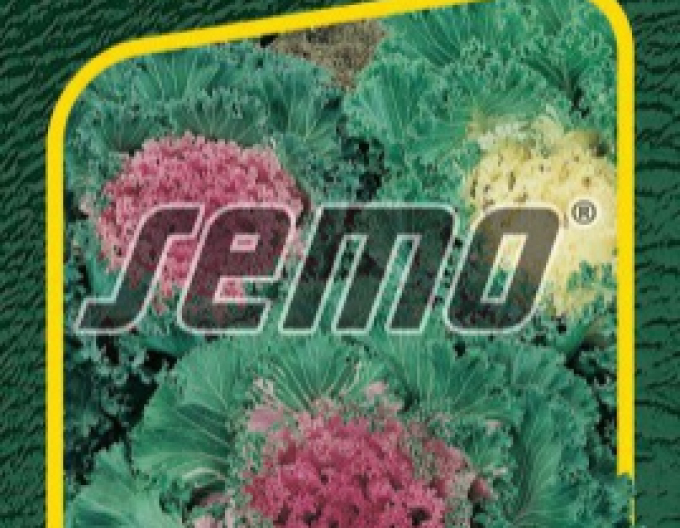 Semo Kapusta okrasná Mix