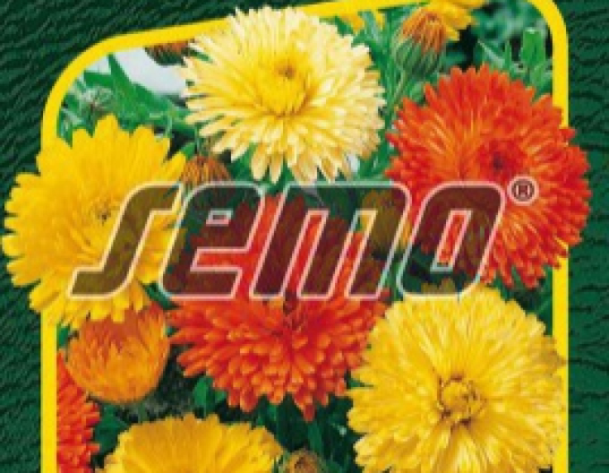 Semo Měsíček lékařský Pacific Beauty směs