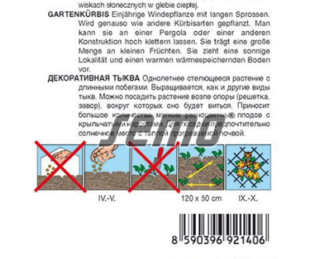 Semena Okrasná dýně Andelská křídla