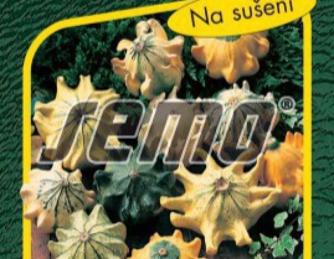 Semo Okrasná dýně Trnova koruna