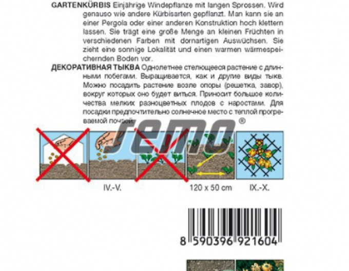 Semo Okrasná dýně Trnova koruna