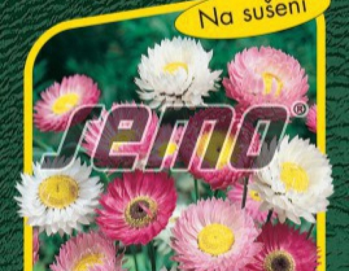 Semo Růžová slaměnka ´Mix´