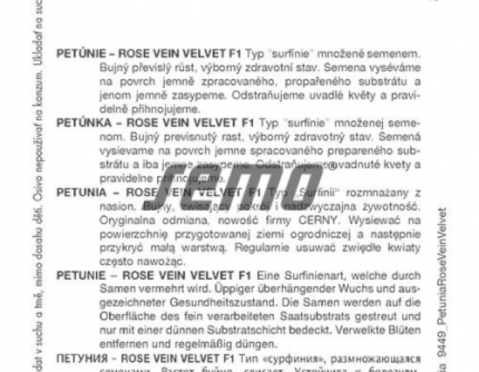 Semo petúnie ´Rose Vein Velvet F1´