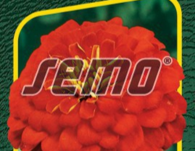 Semo Ostálka lepá Cherry Queen