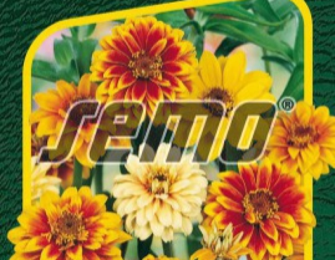 Semo Ostálka Haageova Směs