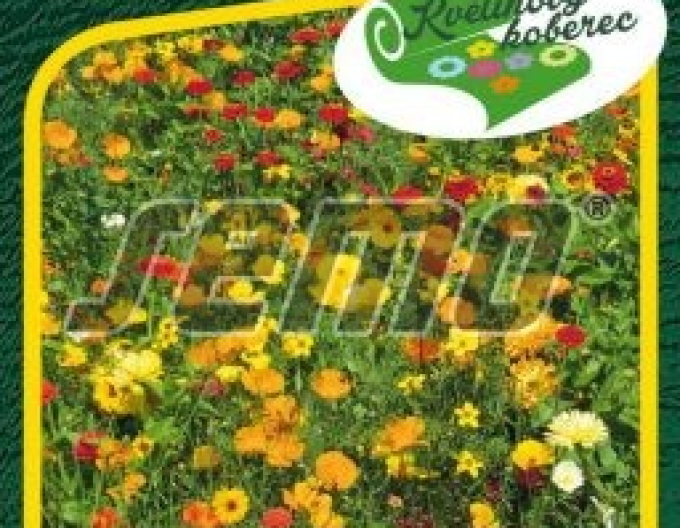 Semo Květinový koberec ´Tisíce světel´