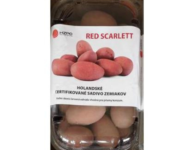 Sadbové brambory ´Red Scarlett´ vanička cca 1 kg