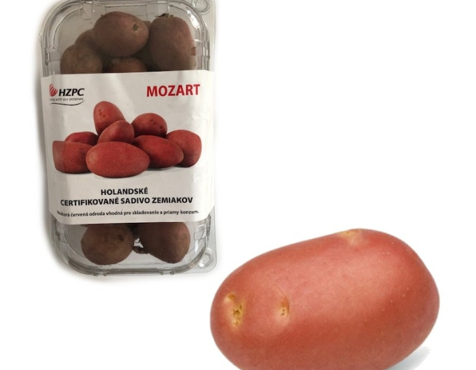 Sazenice brambor ´Mozart´ vanička cca 1kg
