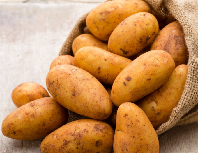 Sazenice brambor ´Wega´ 5kg