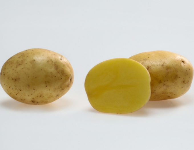 Sazenice brambor ´Soraya´ 5kg