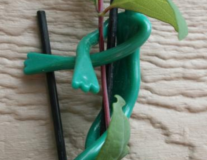 Žáby na vázání rostlin