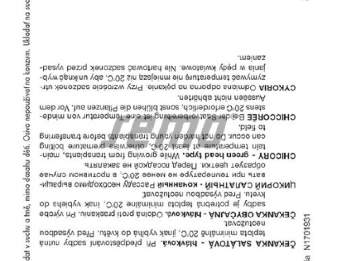 Semo čekanka salátová ´Bravo´