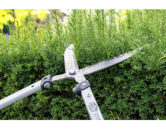 FELCO 250 - 57 Nůžky na živý plot 57 cm