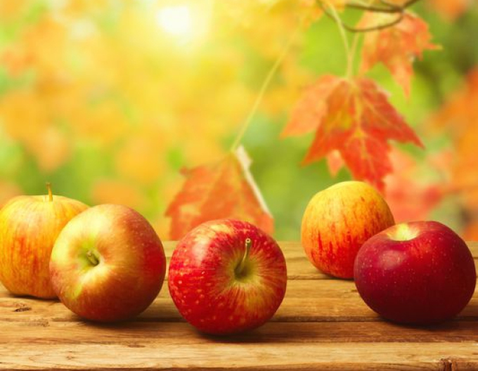 Jabloň Jonathan zimní, podn. MM106, prostok.