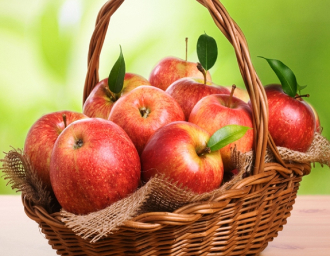 Jabloň Jonagold zimní, podn. MM106, prostok.